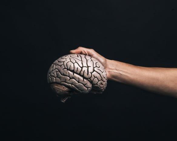 Илон Маск анонсировал новый проект Neuralink: мозговой имплант Blindsight, возвращающий зрение