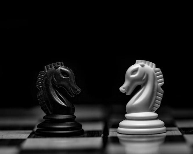 В России запущена собственная шахматная платформа myChess